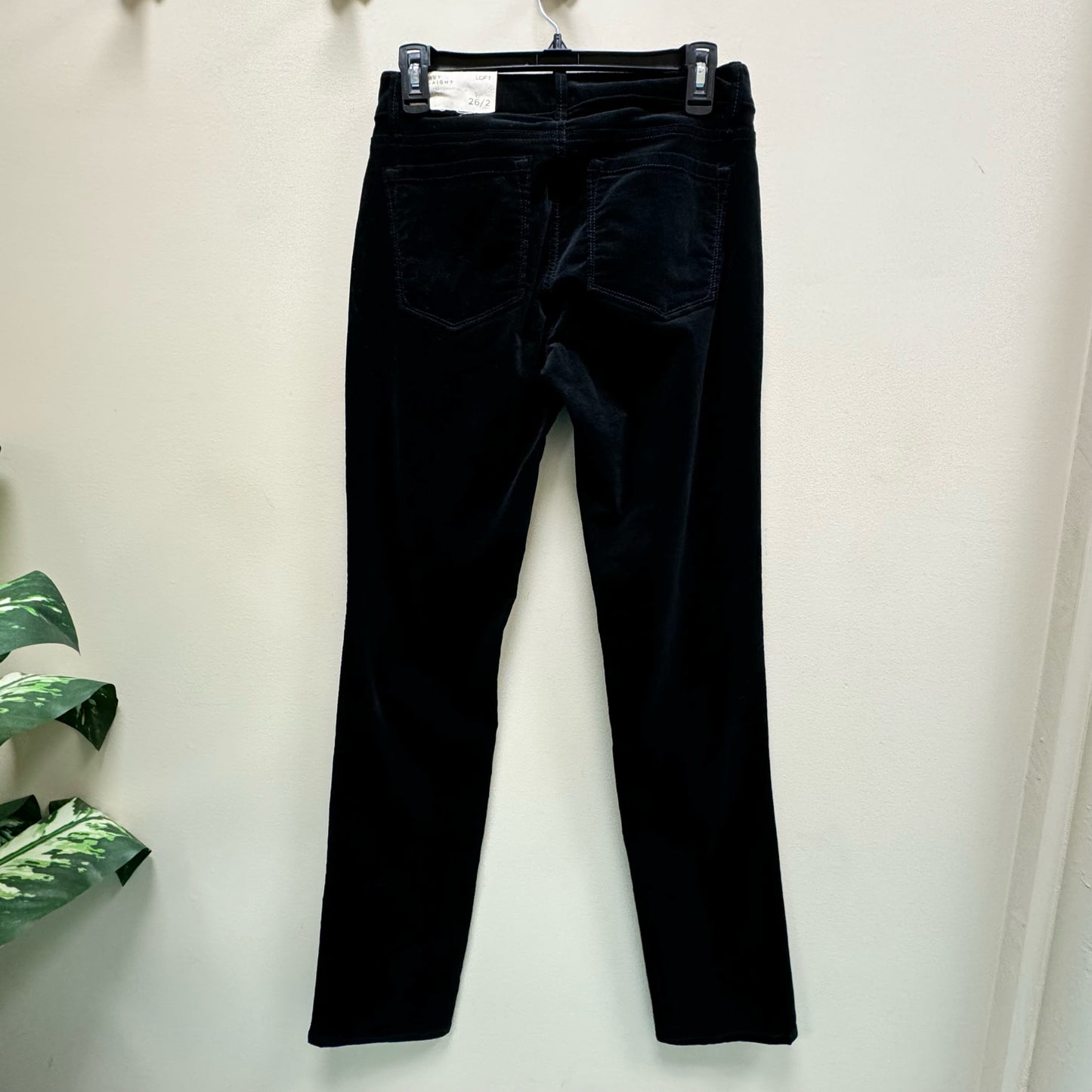 Loft Curvy Straight Corduroy Pants - Size 2 Tall