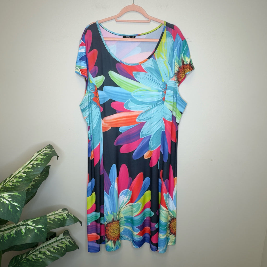 Lily Dress - Size 3X