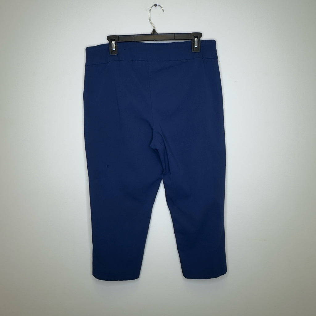 JM Collection Cropped Pull-On Pants - Size Large