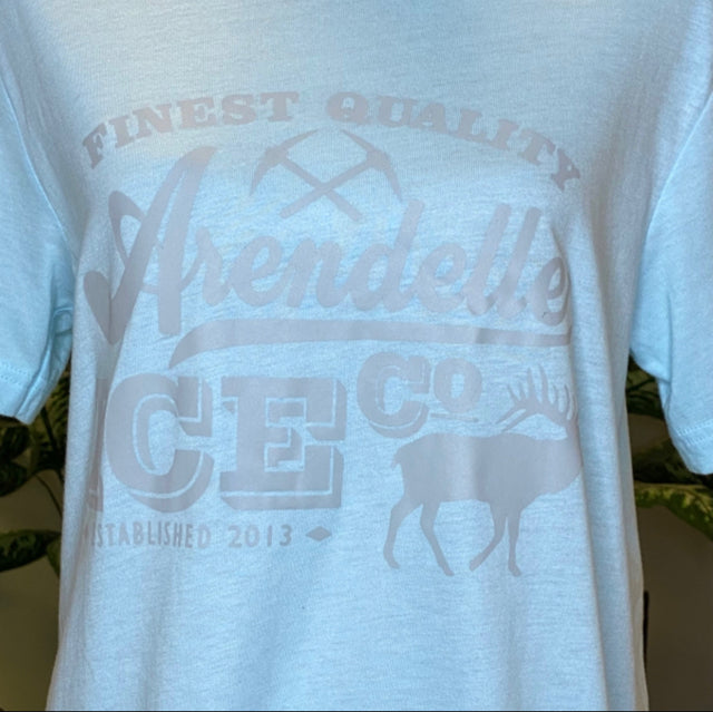 Arendelle Graphic Tee - Size Youth Large (10/12)