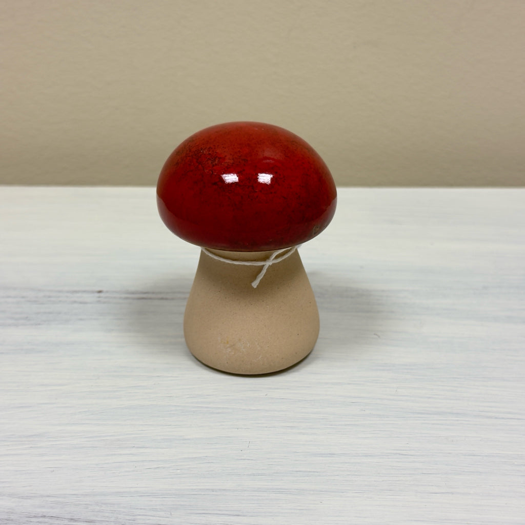 Red Round Mushroom
