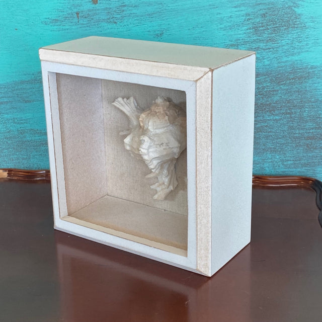 Shell Shadow Box