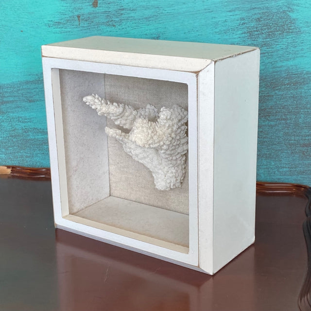 Coral Shadow Box