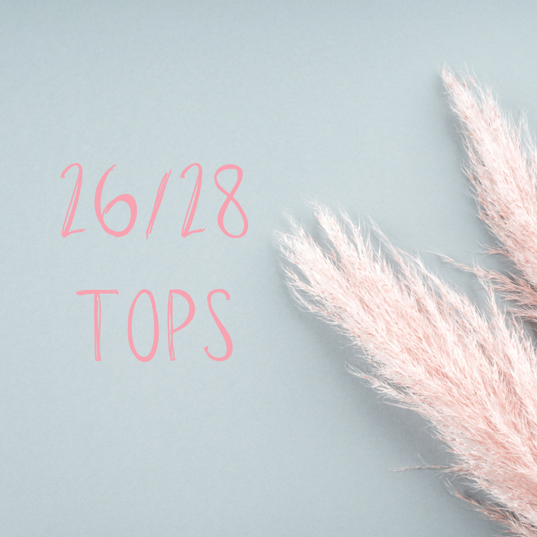 26/28 Tops