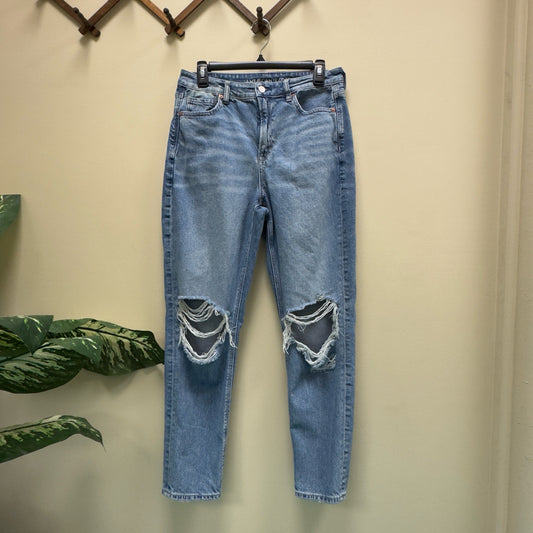 American Eagle Mom Jean Strigid Jeans - Size 10 Long