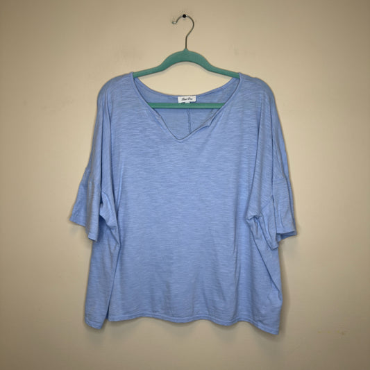 Petal Dew Cropped Tee - Size 2X