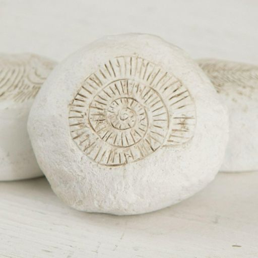 White Conch Fossil Stone