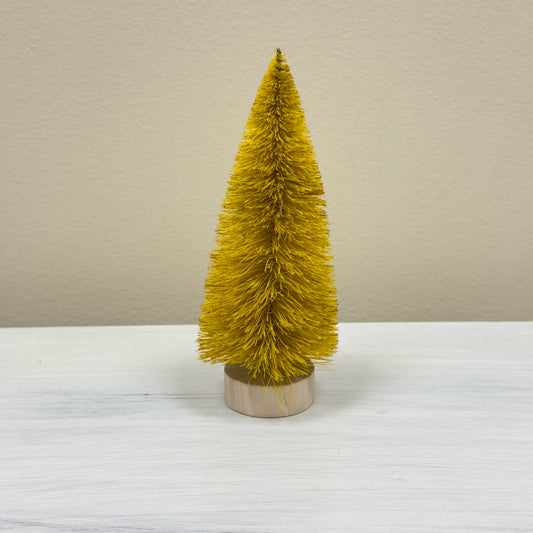 Yellow Bottle Brush Tree