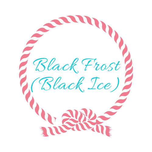 Twisted Scents - Black Frost (Black Ice)