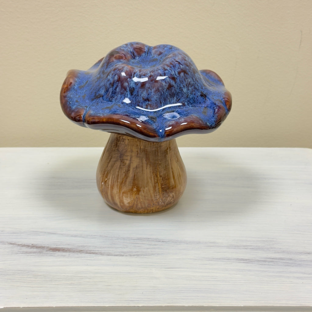 Glossy Color Washed Mushroom