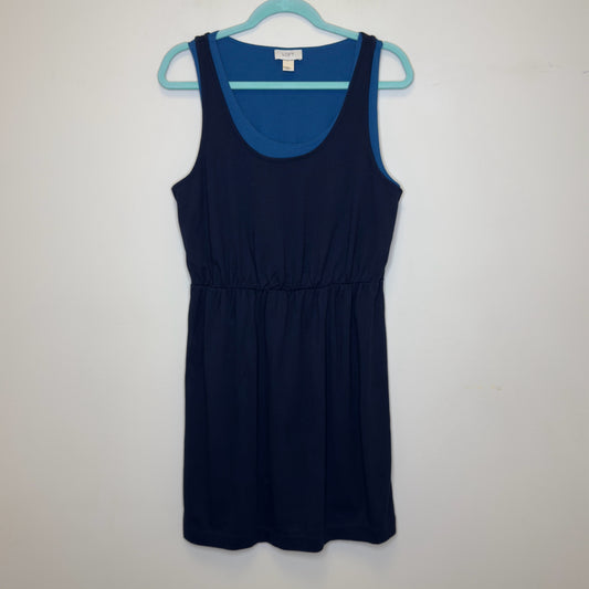 Loft Dress - Size Large