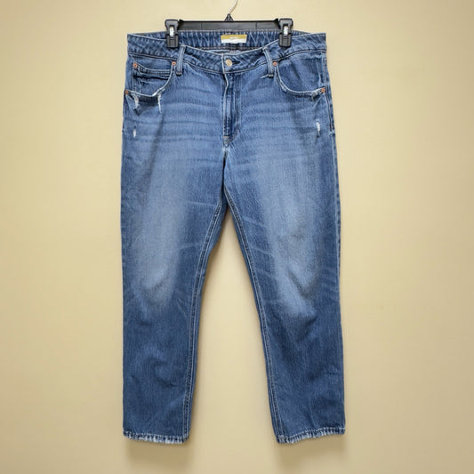 Maurices Jeans - Size 16W