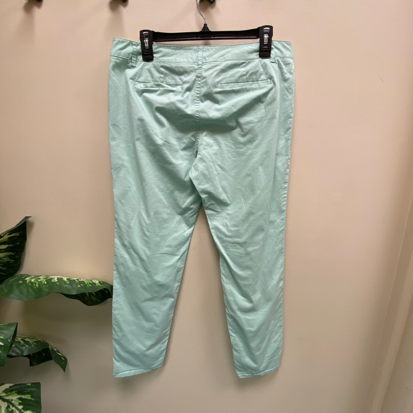 The Limited Pants - Size 10