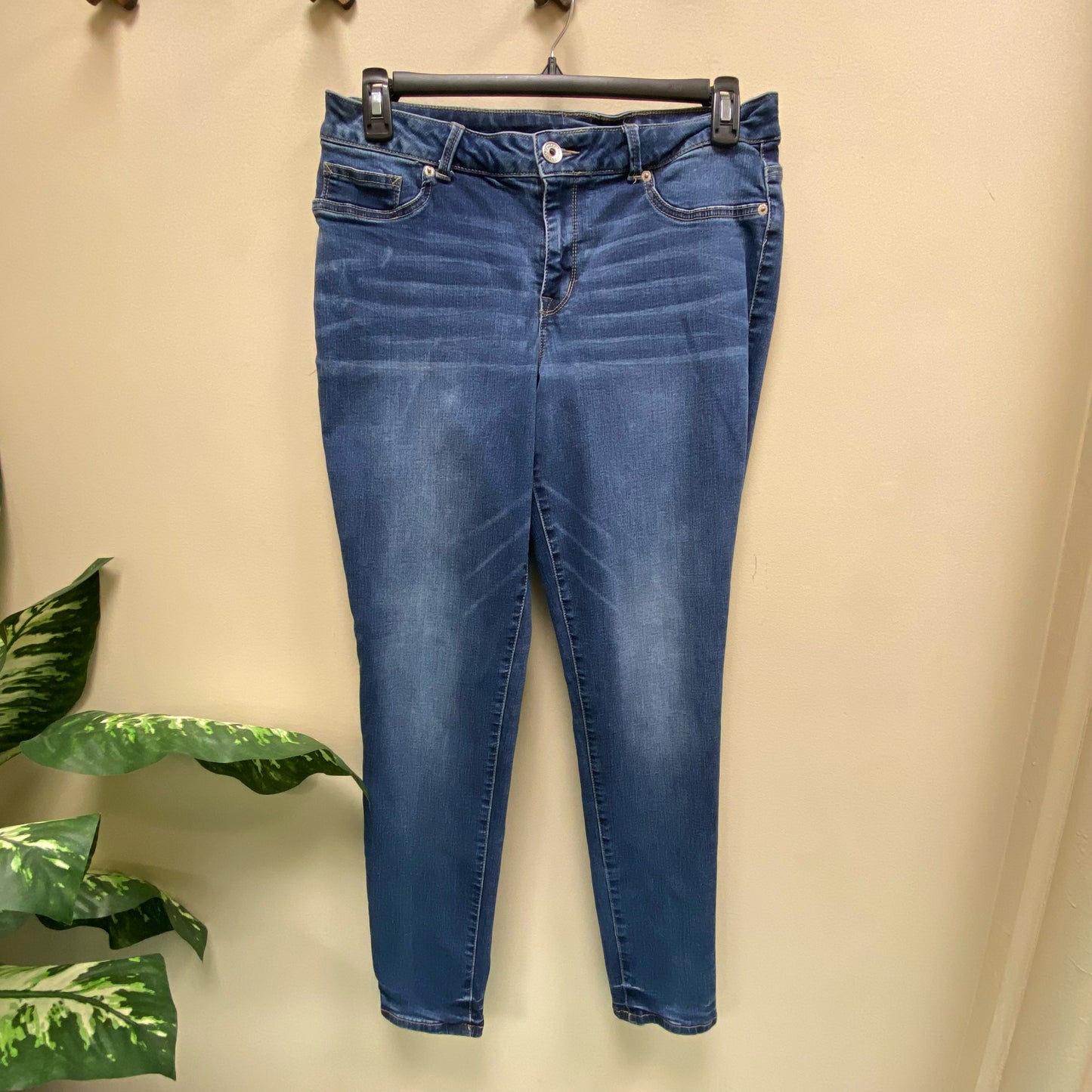 Maurices Jeggings - Size XL Regular