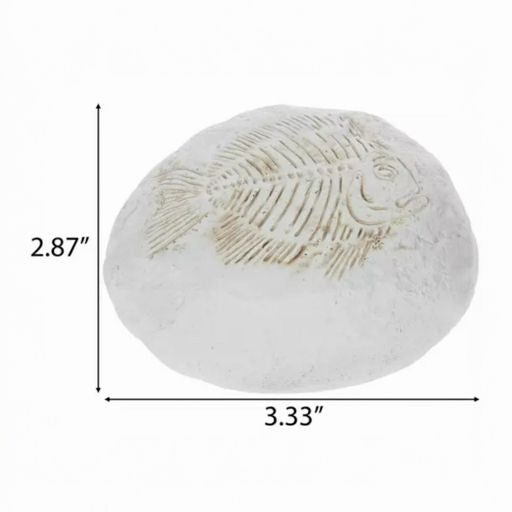 Big White Fish Fossil Stone