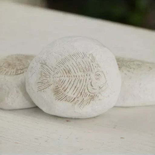 Big White Fish Fossil Stone