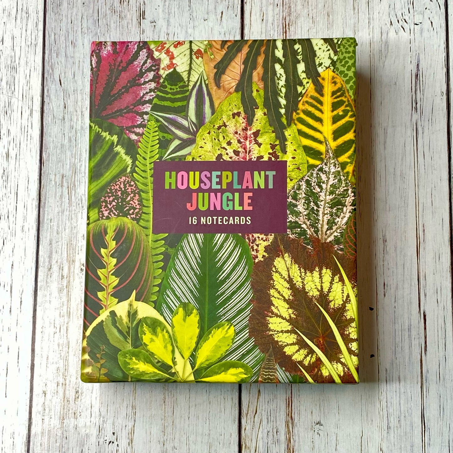 Houseplant Jungle Notecard Set