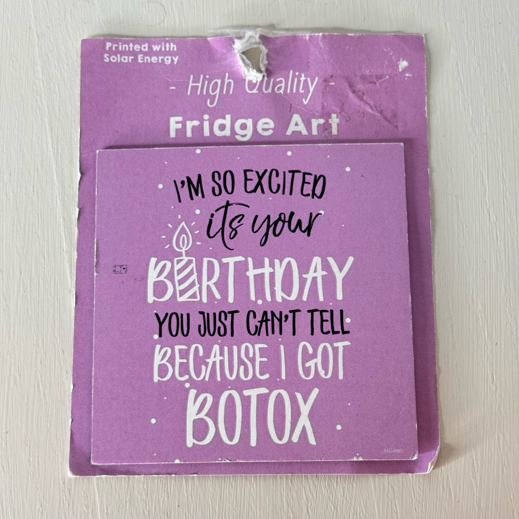 I'm So Excited It's Your Birthday Magnet