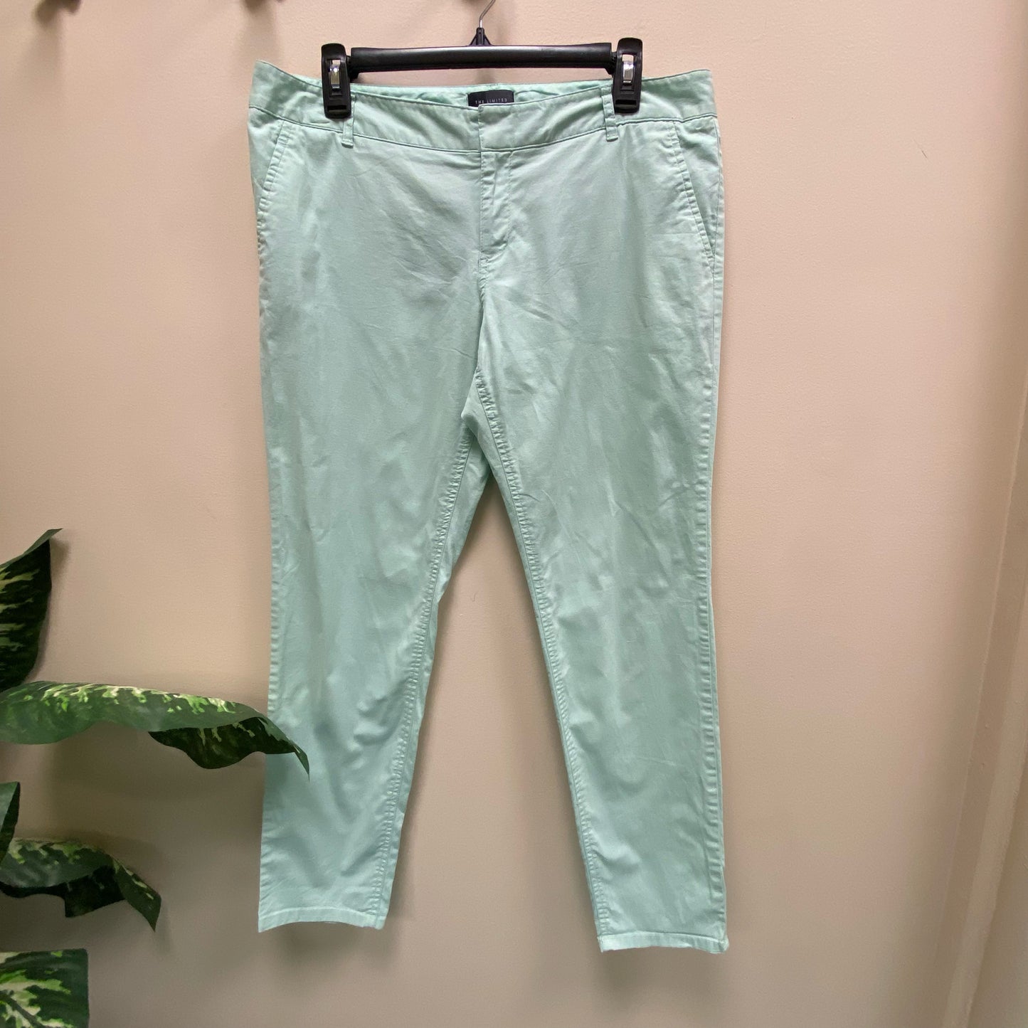 The Limited Pants - Size 10