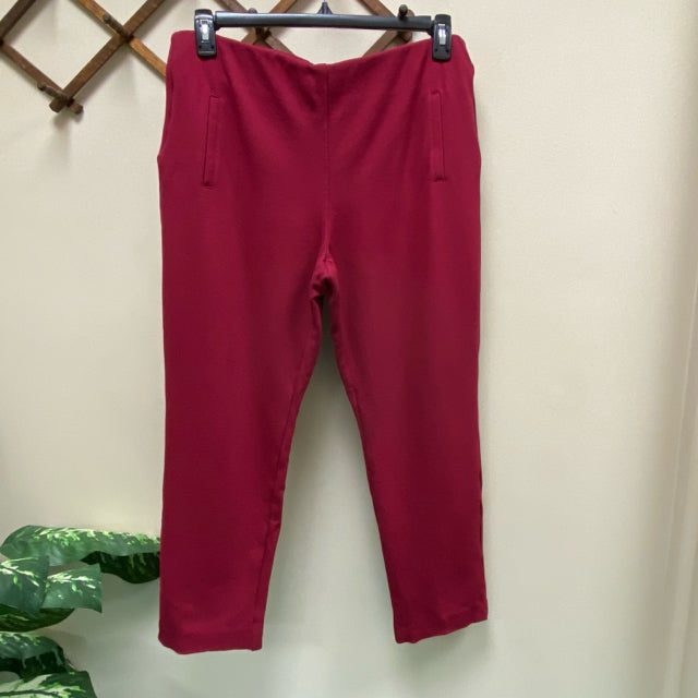 Chico's Pull-On Pants - Size 14